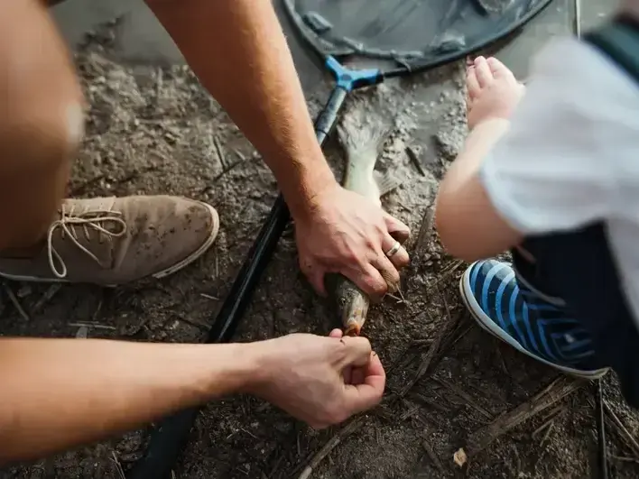 Professional service work by SnoFalls Plumbing LLC in Covington